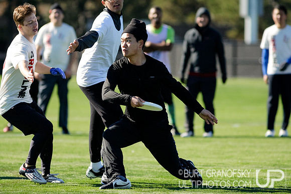Bredline vs Alumni Game - Harvard Ultimate 40th Reunion