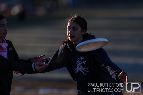 2021 USA Ultimate Division I College Championships