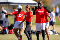 Day 5 of the WFDF 2024 World Masters Ultimate Championships