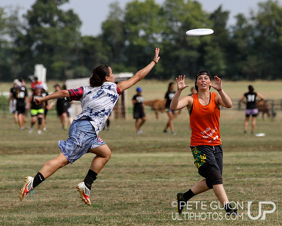 Chesapeake Open