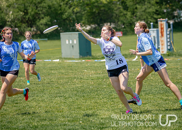 2024 USA Ultimate Division III College Championships ©