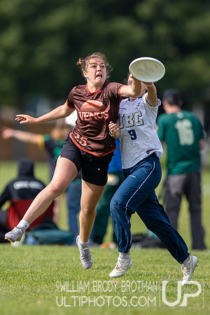 Day 1 of the USA Ultimate D-I College Championships