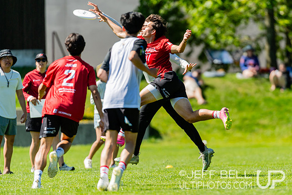 BC Ultimate - Disc Flicker 2024