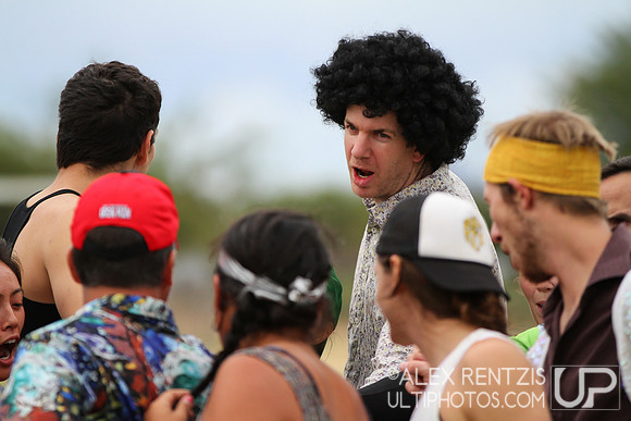 Hoasis 2014 from Tucson, Arizona Sat Dec 6