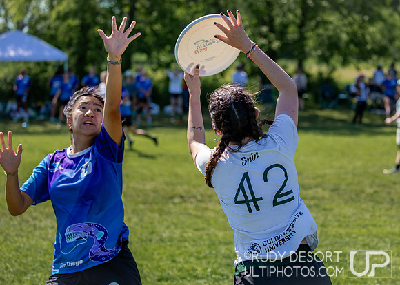 2024 USA Ultimate Division I College Championships ©