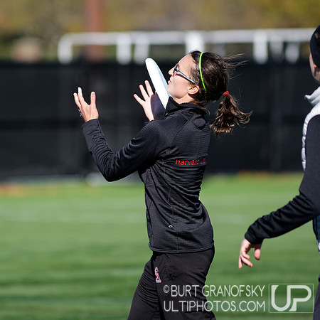 Quasar Alumnae Game - Harvard Ultimate 40th Reunion