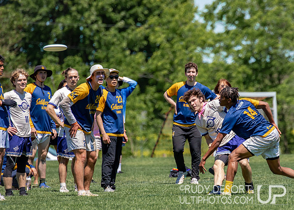 2024 USA Ultimate Division I College Championships ©