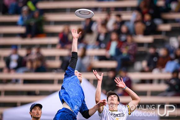 Seattle Cascades host Oakland Spiders in Seattle’s 2025 Season Home Opener