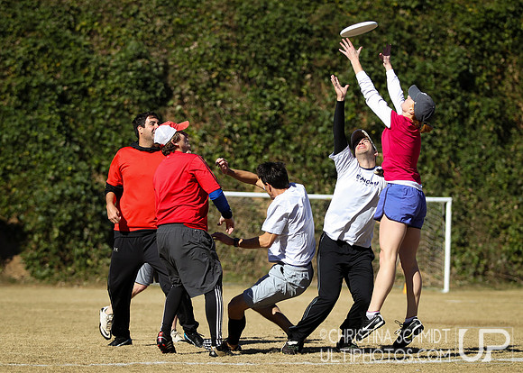 Fall Ultimate League -- 2014