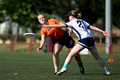 USA v Netherlands