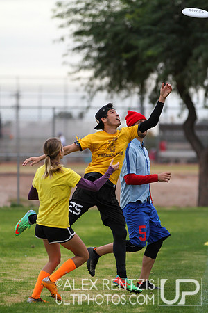 Hoasis 2014 from Tucson, Arizona Sat Dec 6
