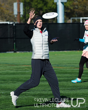 Harvard Ultimate Alumni v. current teams