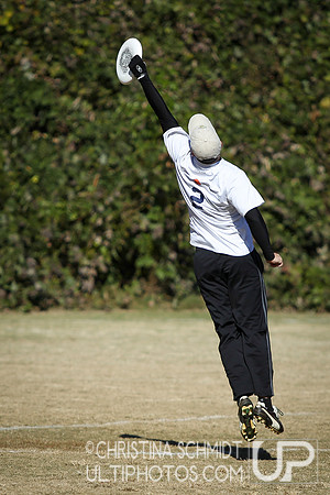 Fall Ultimate League -- 2014