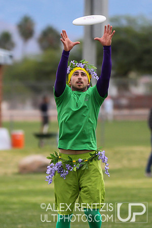 Hoasis 2014 from Tucson, Arizona Sat Dec 6