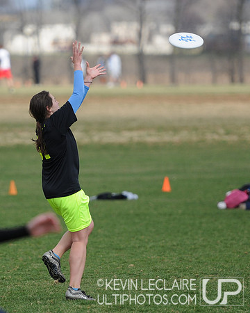 Steakfest Women's Saturday Games