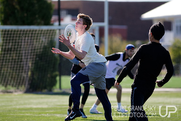 Bredline vs Alumni Game - Harvard Ultimate 40th Reunion