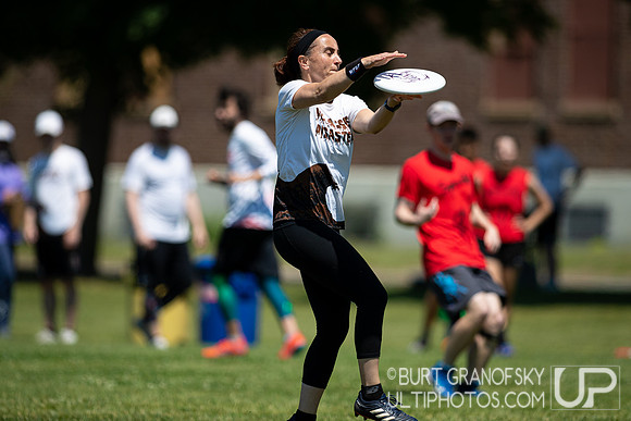 Saturday Action -- Mixed Easterns 2022