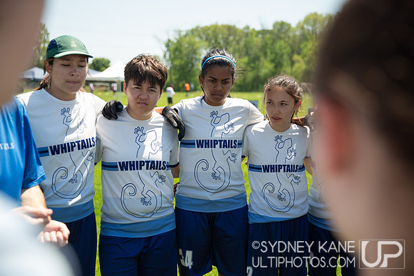 2024 USA Ultimate Division III College Championships