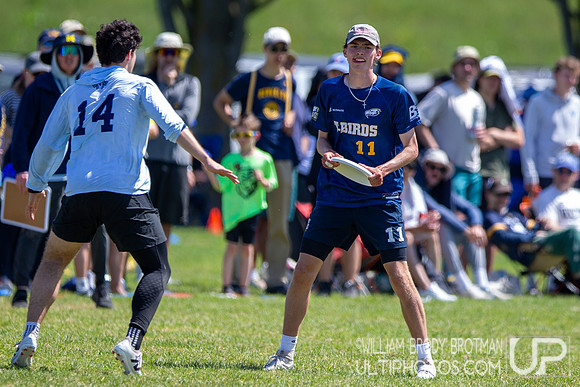 Day 2 of the USA Ultimate D-I College Championships