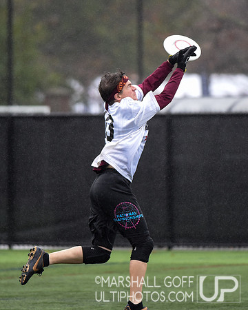 Harvard 40th Ultimate Reunion