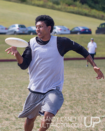 Sunday - Metro NY Sectionals