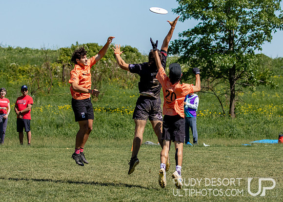 2024 USA Ultimate Division I College Championships ©