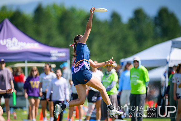 Saturday pool play at USAU D-I College Championships