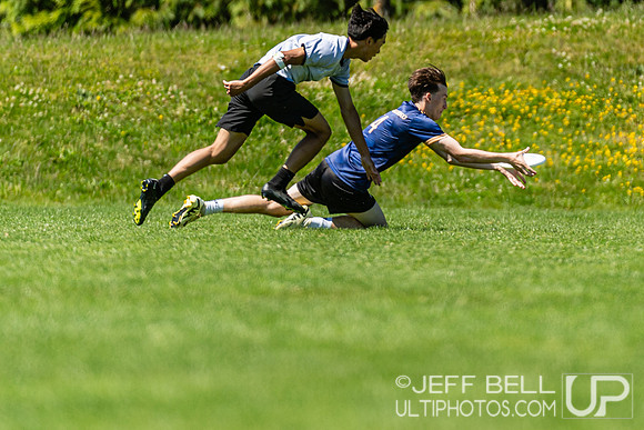 BC Ultimate - Disc Flicker 2024
