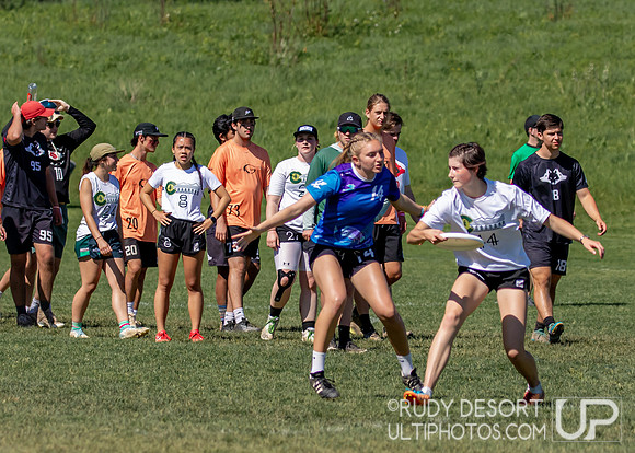 2024 USA Ultimate Division I College Championships ©