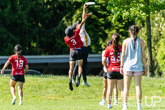BC Ultimate - Disc Flicker 2024