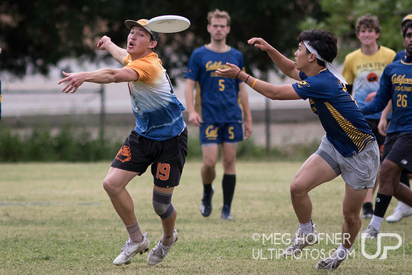 USAU SoCal D1 College Regionals 2025