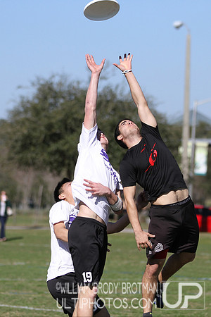 Warm Up: A Florida Affair