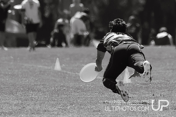 NorCal D1 Conference Championships