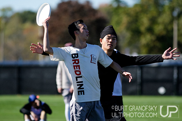 Bredline vs Alumni Game - Harvard Ultimate 40th Reunion