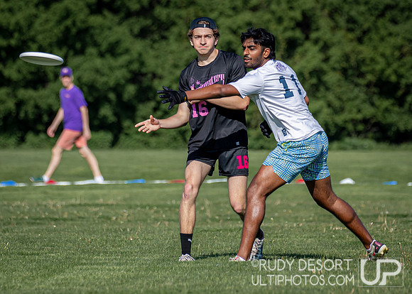 2024 USA Ultimate Division III College Championships ©