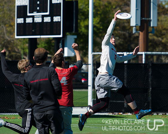 Harvard Ultimate Alumni v. current teams