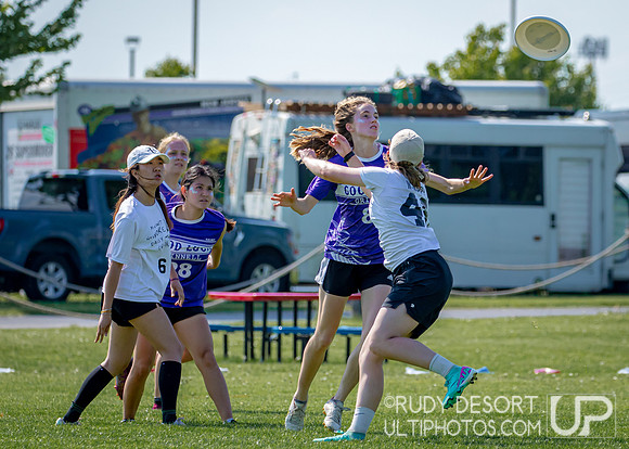 2024 USA Ultimate Division III College Championships ©