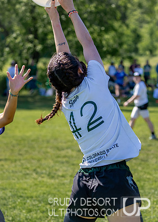 2024 USA Ultimate Division I College Championships ©