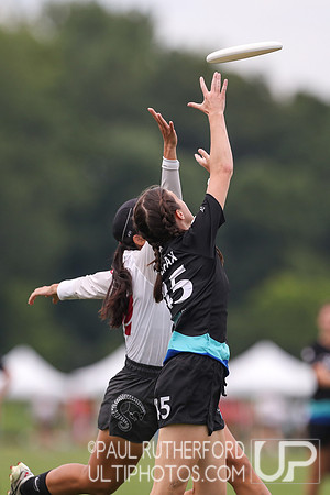 Salty and Pangolins at the 2022 World Ultimate Club Championships