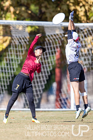 Day 3 of the WFDF 2024 World Masters Ultimate Championships