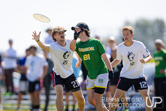 Saturday full coverage from USAU D-I College Championships, Oregon vs Northeastern