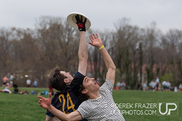 Fools Fest 2025 Saturday