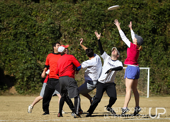 Fall Ultimate League -- 2014