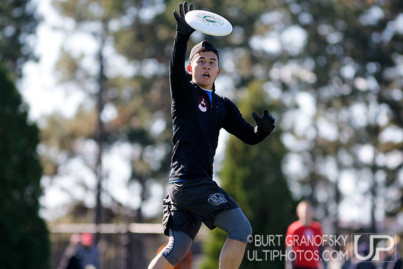 Bredline vs Alumni Game - Harvard Ultimate 40th Reunion