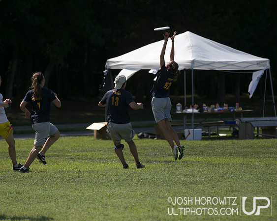 Capital Sectionals Sunday 2014