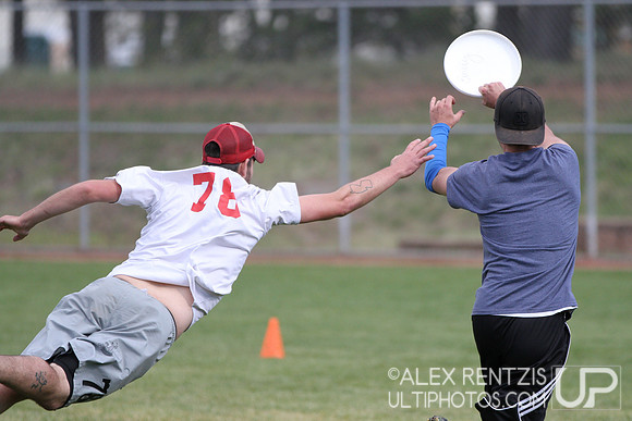 UltiFest 2014 held in Flagstaff, Arizona Oct 11-12