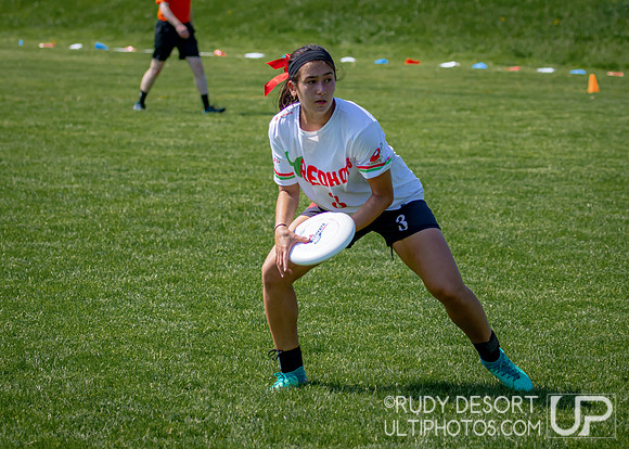 2024 USA Ultimate Division III College Championships ©