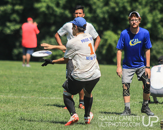Metro New York Sectionals - Sunday