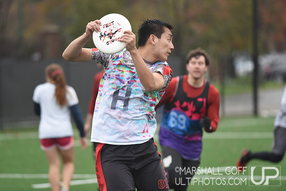 Harvard 40th Ultimate Reunion