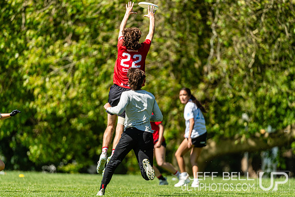 BC Ultimate - Disc Flicker 2024
